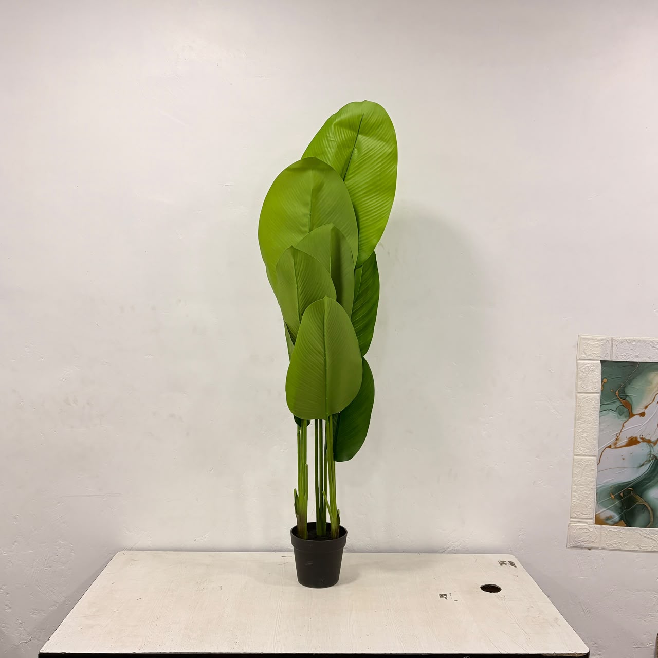 A06681 Medium Artificial Banana Palm Plant in Black Nursery