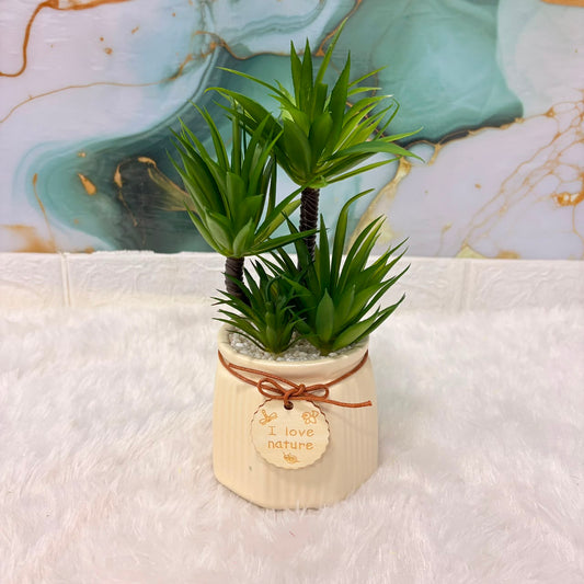 A06685 Mini Artificial Succulent Plant in Ceramic Pot with "I Love Nature" Tag – Decorative Fake Tabletop Plant