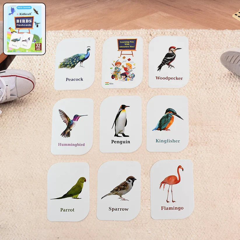19158 KidKraft Early Learner Educational Flashcards – 32 Birds