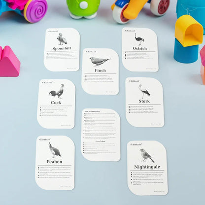 19158 KidKraft Early Learner Educational Flashcards – 32 Birds