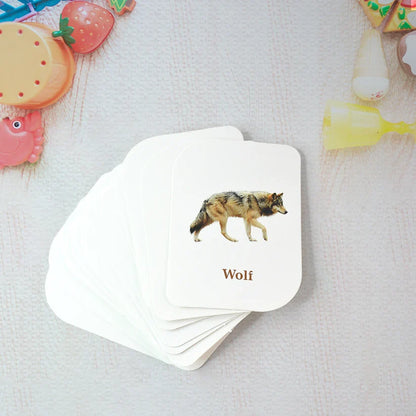 19150 Kidkraft 32-Piece Animal Flash Cards Set