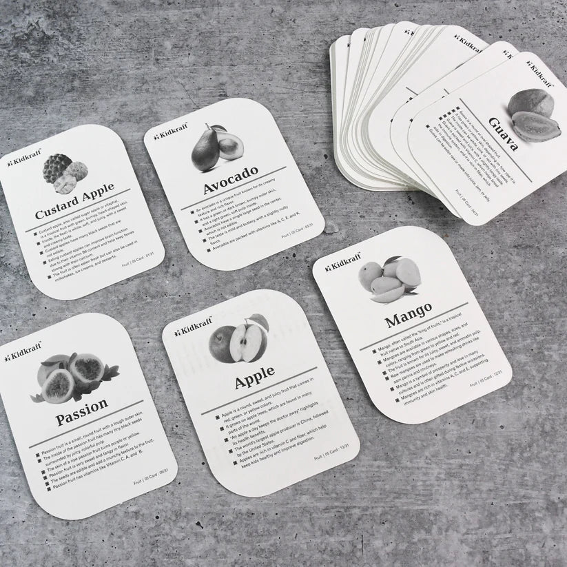 19159 KidKraft Early Learner Educational Flashcards – 32 Birds