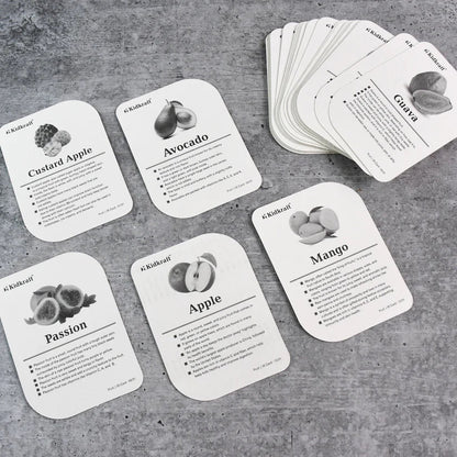 19159 KidKraft Early Learner Educational Flashcards – 32 Birds