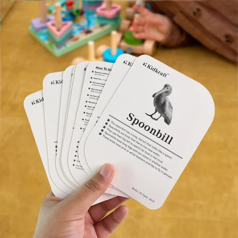 19158 KidKraft Early Learner Educational Flashcards – 32 Birds