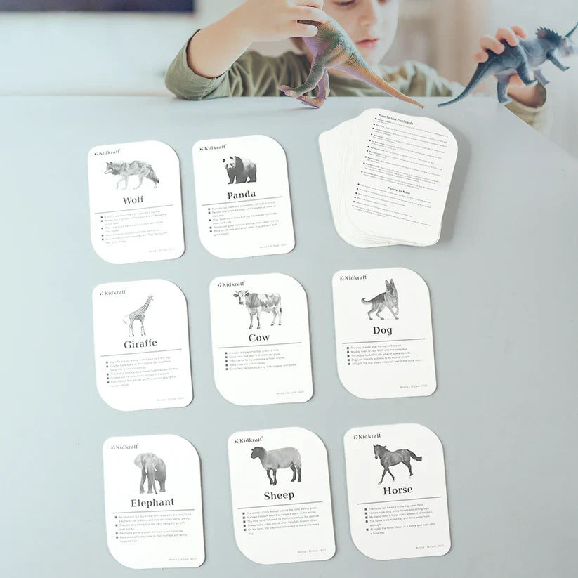19150 Kidkraft 32-Piece Animal Flash Cards Set