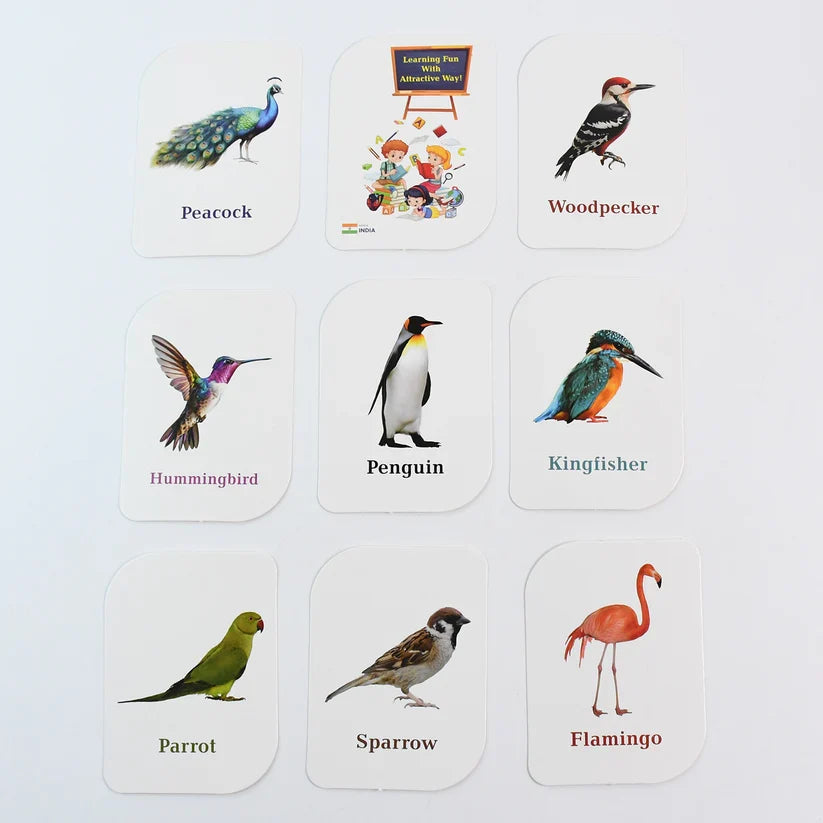 19158 KidKraft Early Learner Educational Flashcards – 32 Birds
