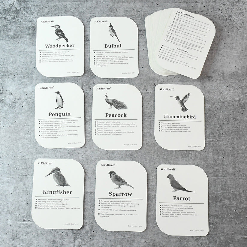 19158 KidKraft Early Learner Educational Flashcards – 32 Birds