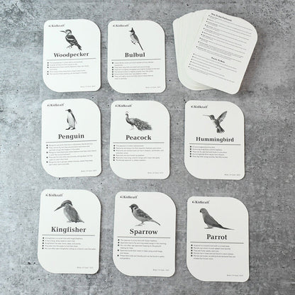 19158 KidKraft Early Learner Educational Flashcards – 32 Birds