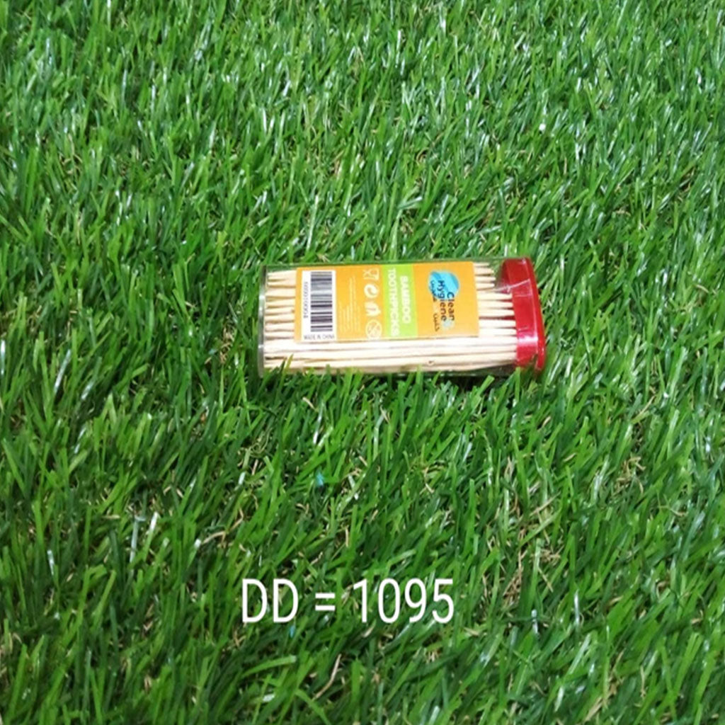 1095 Bamboo Toothpicks with Dispenser Box