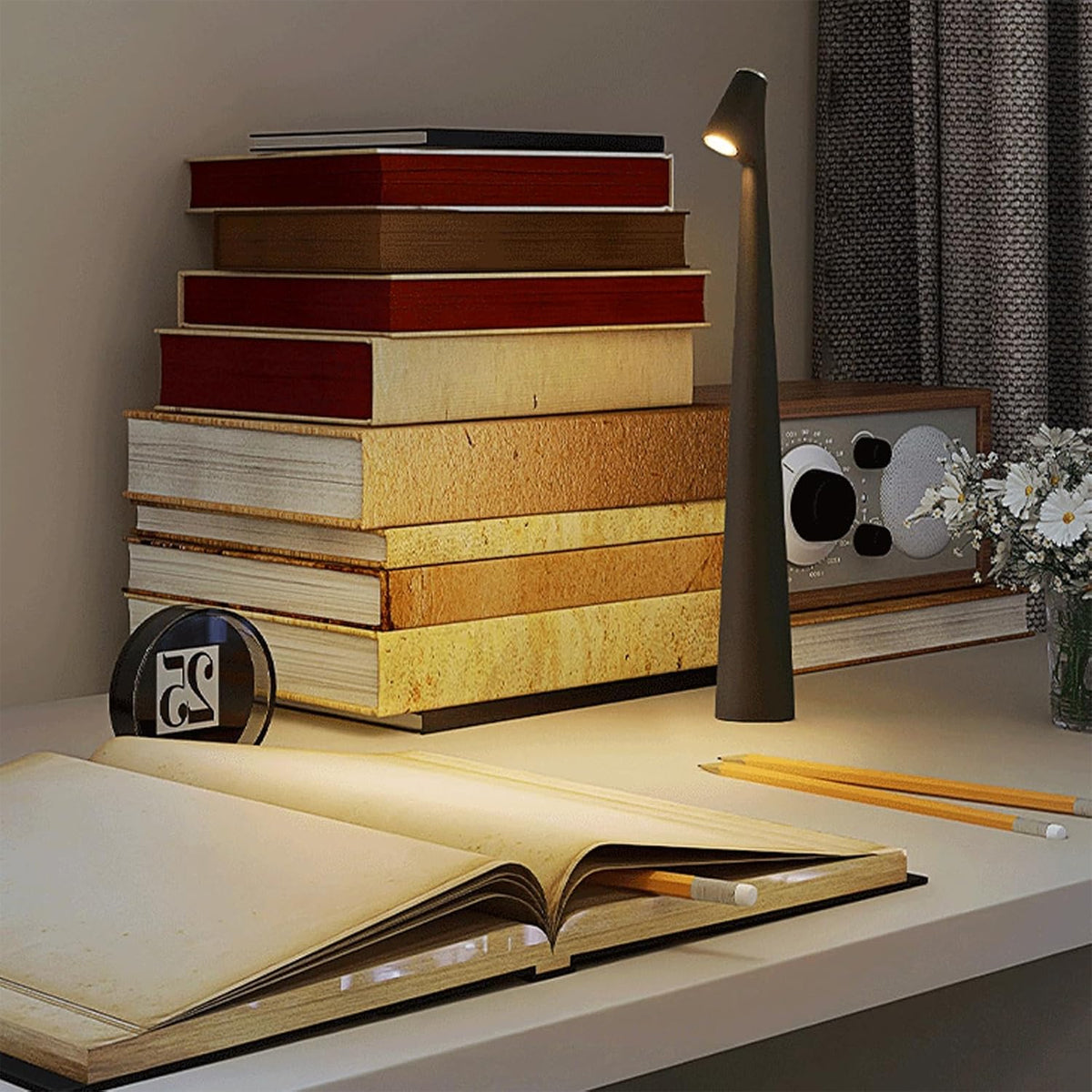 AM5917 Touch Control Wireless LED Table Lamp