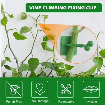 AM6863 30 Pcs-Adhesive Plant Climbing Fixing Clips - Green Vine Wall Holders