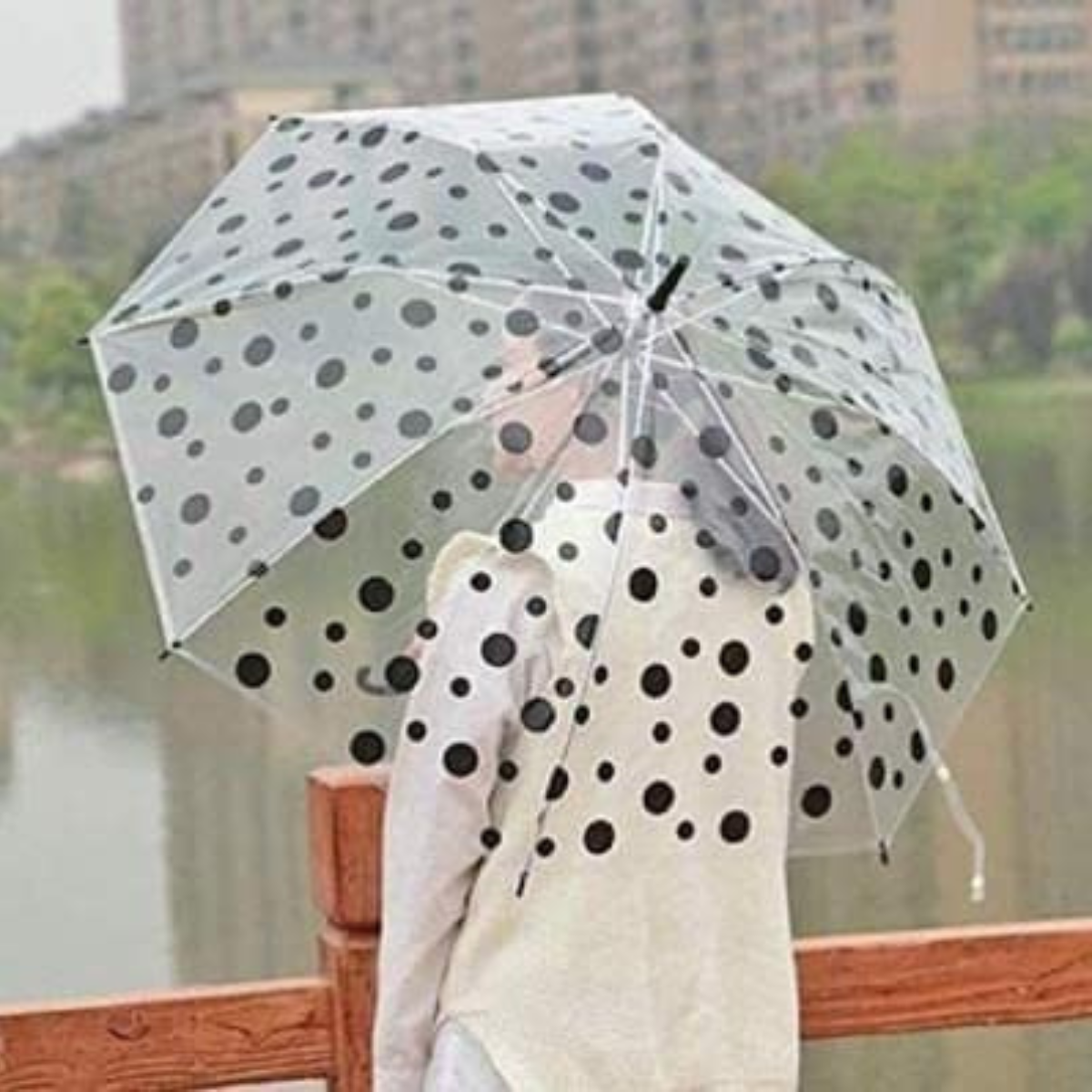 AM5494 Transparent Clear Polka-Dot Lightweight, Porable & Anti-UV Umbrella Multicolour 1 pc