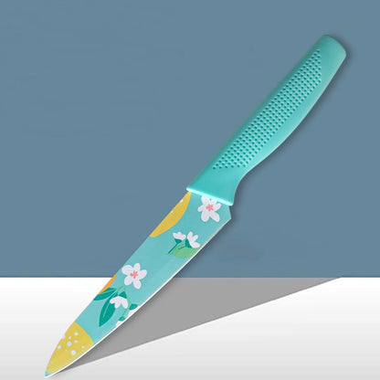 AM5669 Stainless Steel Small Knife Color Printed , Chef's & Cleaver Kitchen Knife