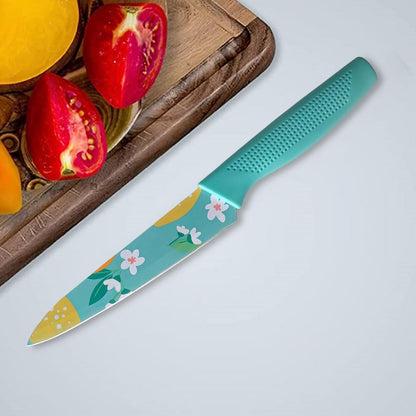 AM5669 Stainless Steel Small Knife Color Printed , Chef's & Cleaver Kitchen Knife