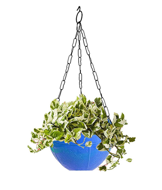 3851 Plastic Hanging Planter Basket Pots with Chain