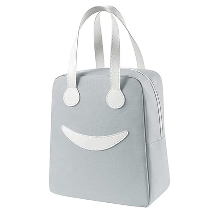 AM2865 Lunch Bag Large Insulated Design Tote Lunch Bag with Aluminum Foil for Work Multicolour