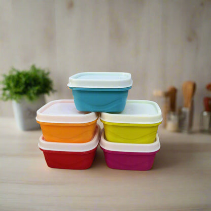 AM5138 Small Plastic Tasty Container 5 Set, Multicolor