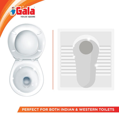 AM3369 Gala Toilet Brush With Container