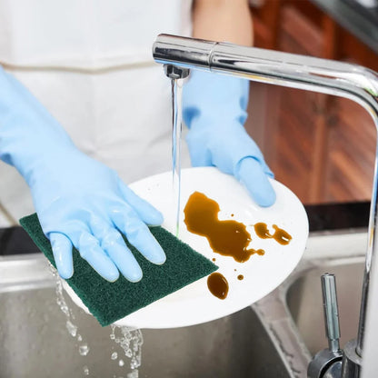 AM5029 Gala Scrub Pad Pack of 1