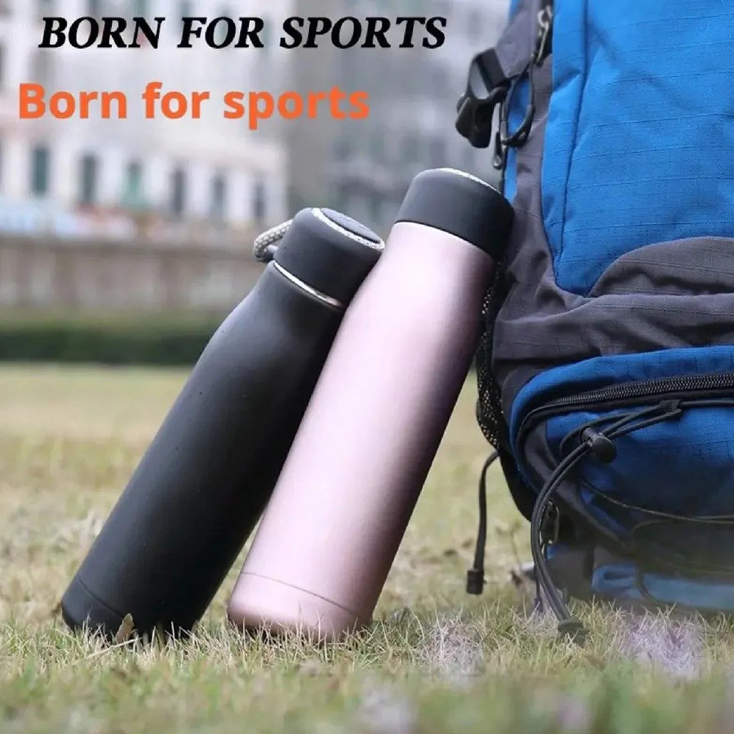 13851 Double Wall Vacuum Insulated Water Bottle (550 ML)