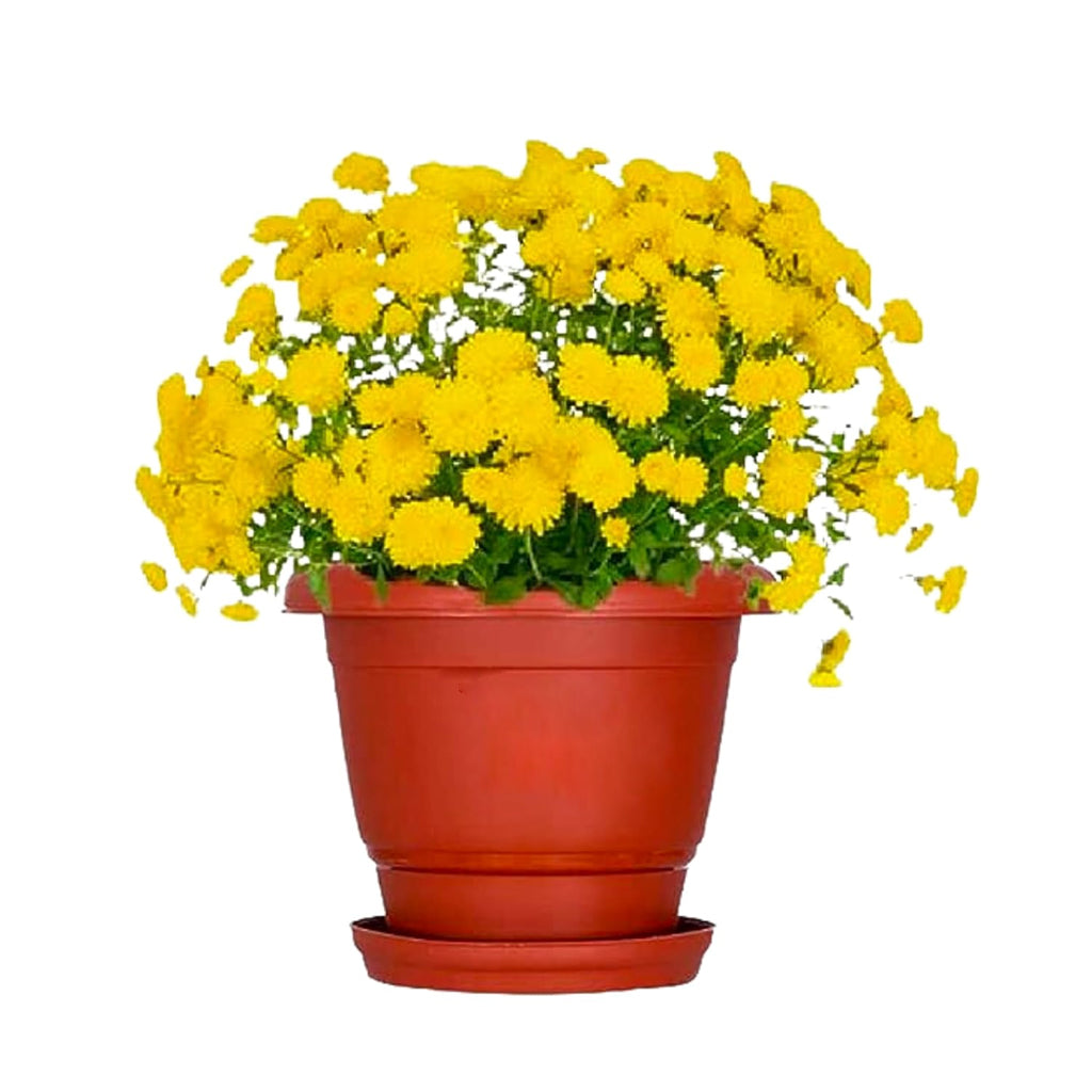 AM0940 Flower Pot Plant Saucer 10 Inch Base Plate Tray