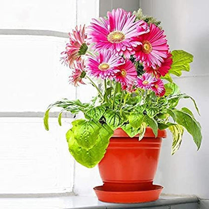 AM0944 Flower Pot Plant Saucer 18 Inch Base Plate Tray