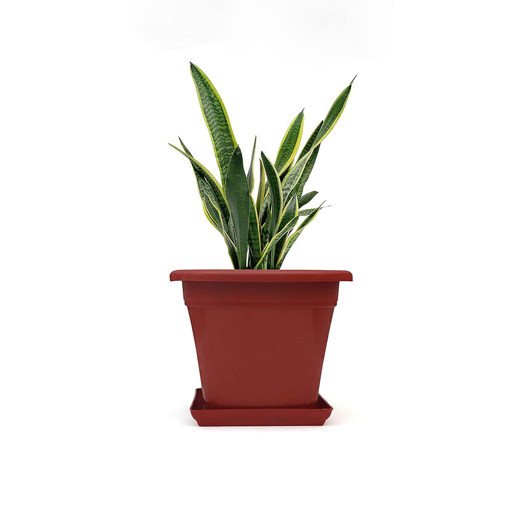 AM0935 Flower Pot Square Plastic Plant 12 Inch Saucer Tray Plant Pot