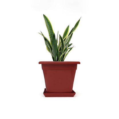 AM0935 Flower Pot Square Plastic Plant 12 Inch Saucer Tray Plant Pot