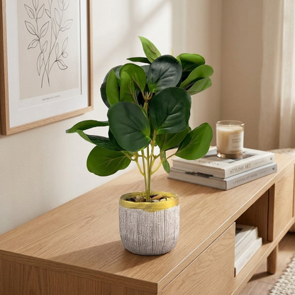 AM7453 Artificial Eucalyptus Money Plant in Gold-Rimmed Textured Pot
