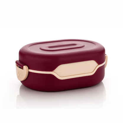 AM6659 Tasty Lunch Box Set with Water Bottle, 2 Compartments, Leak-Proof Design (Multicolour)