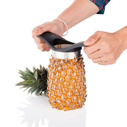 2702_pineapple_cutter