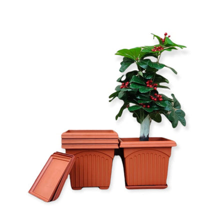 AM0935 Flower Pot Square Plastic Plant 12 Inch Saucer Tray Plant Pot