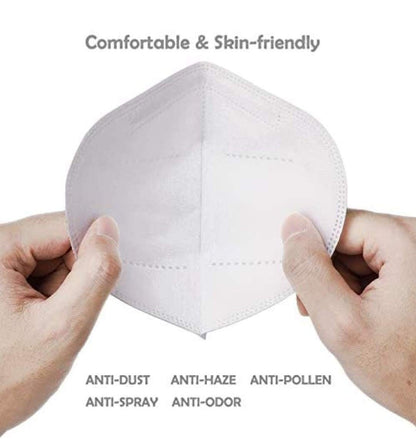 0258  N95 Anti Pollution/Virus Face Mask DeoDap
