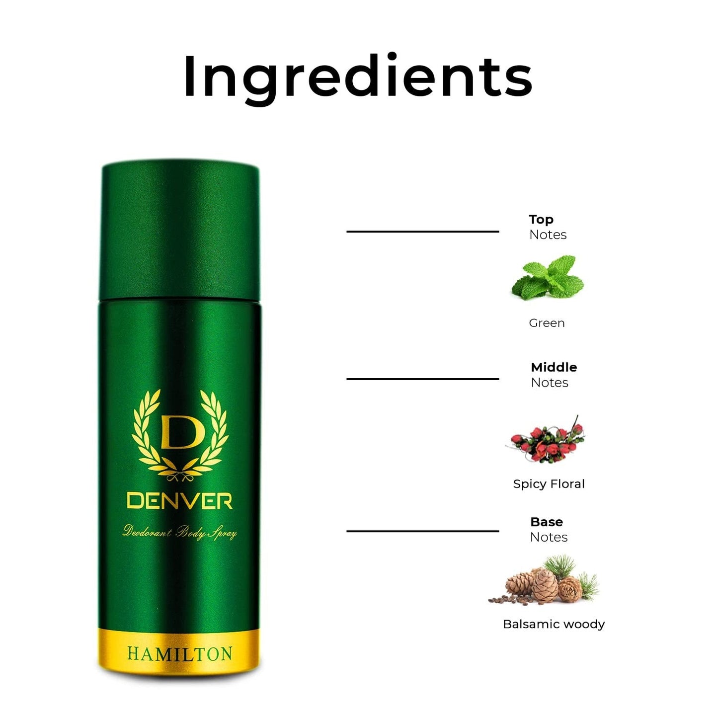 AM0257 DENVER Hamilton Deodorant - 150ML