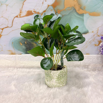 AM7446 Artificial Silver Leaf Potted Plant