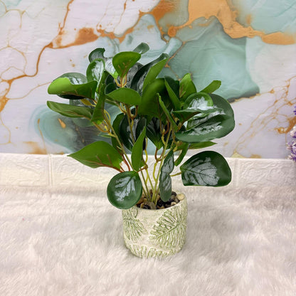 AM7446 Artificial Silver Leaf Potted Plant