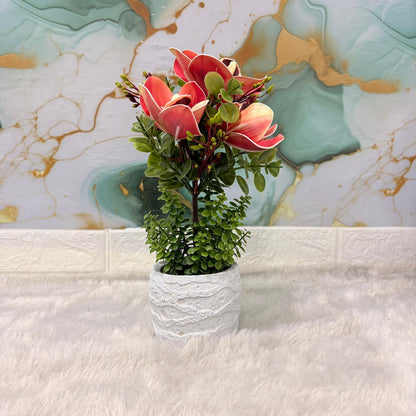 AM7447 Artificial Orchid Potted Plant with Heart-Cutout Gift Box