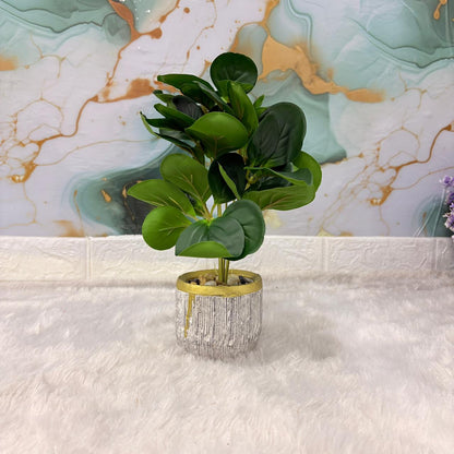 AM7453 Artificial Eucalyptus Money Plant in Gold-Rimmed Textured Pot