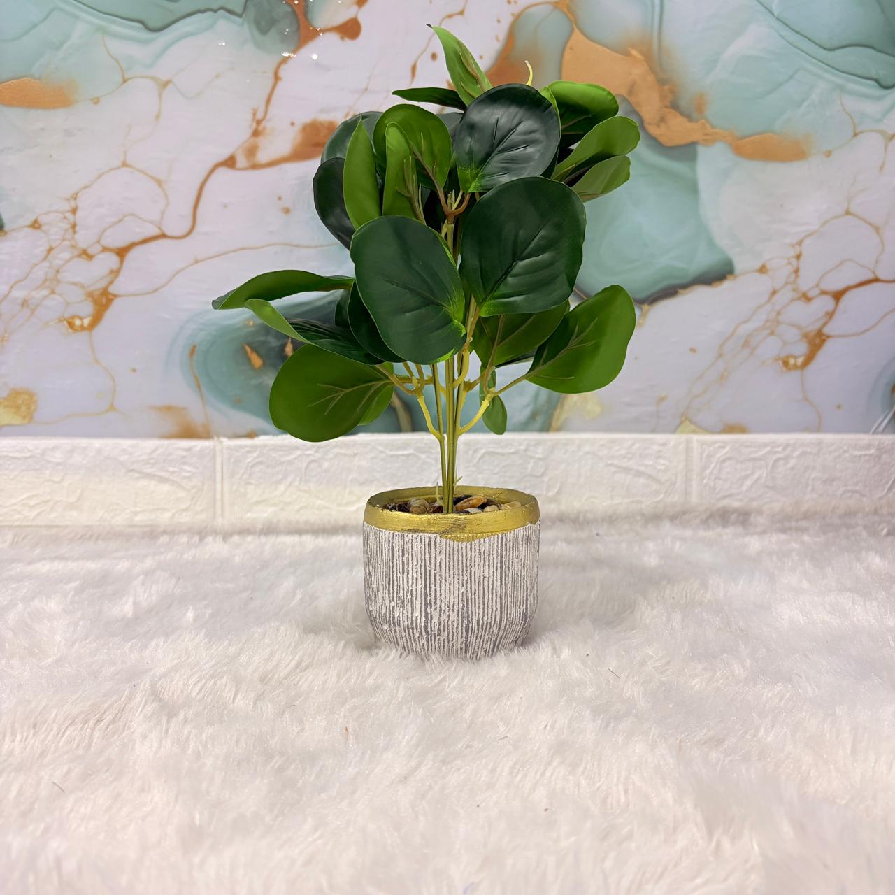 AM7453 Artificial Eucalyptus Money Plant in Gold-Rimmed Textured Pot