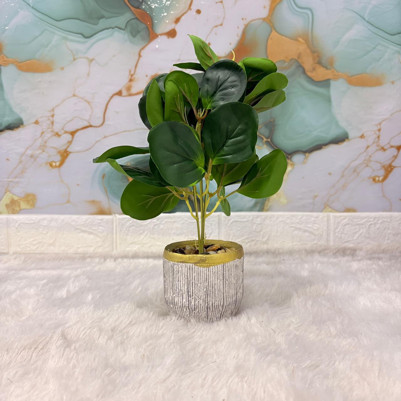 AM7453 Artificial Eucalyptus Money Plant in Gold-Rimmed Textured Pot