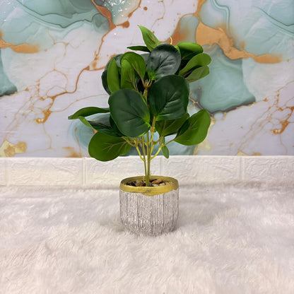 AM7453 Artificial Eucalyptus Money Plant in Gold-Rimmed Textured Pot