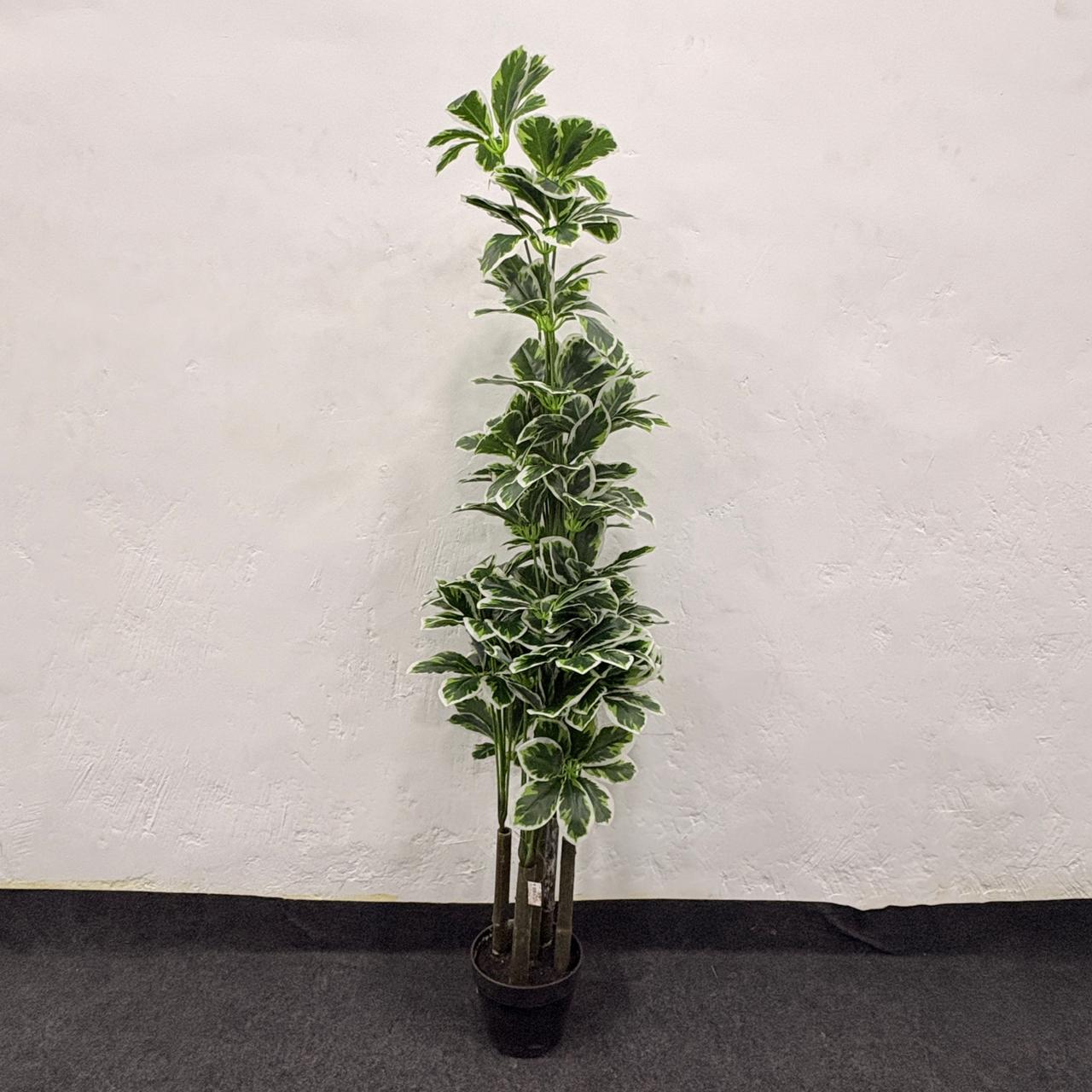 AM7463 MEDIUM Tall Artificial Variegated Umbrella Plant