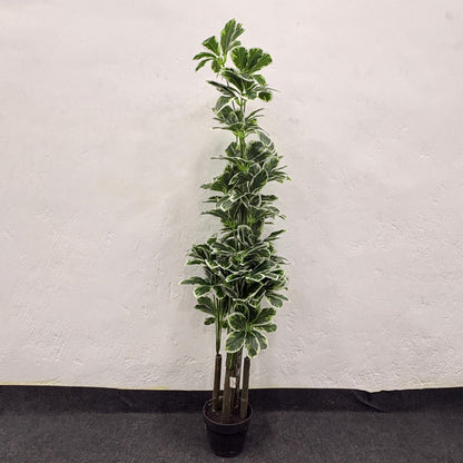 AM7463 MEDIUM Tall Artificial Variegated Umbrella Plant