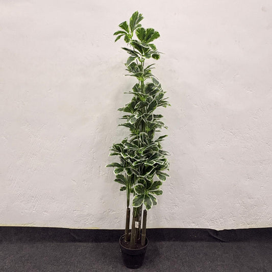 AM7463 MEDIUM Tall Artificial Variegated Umbrella Plant