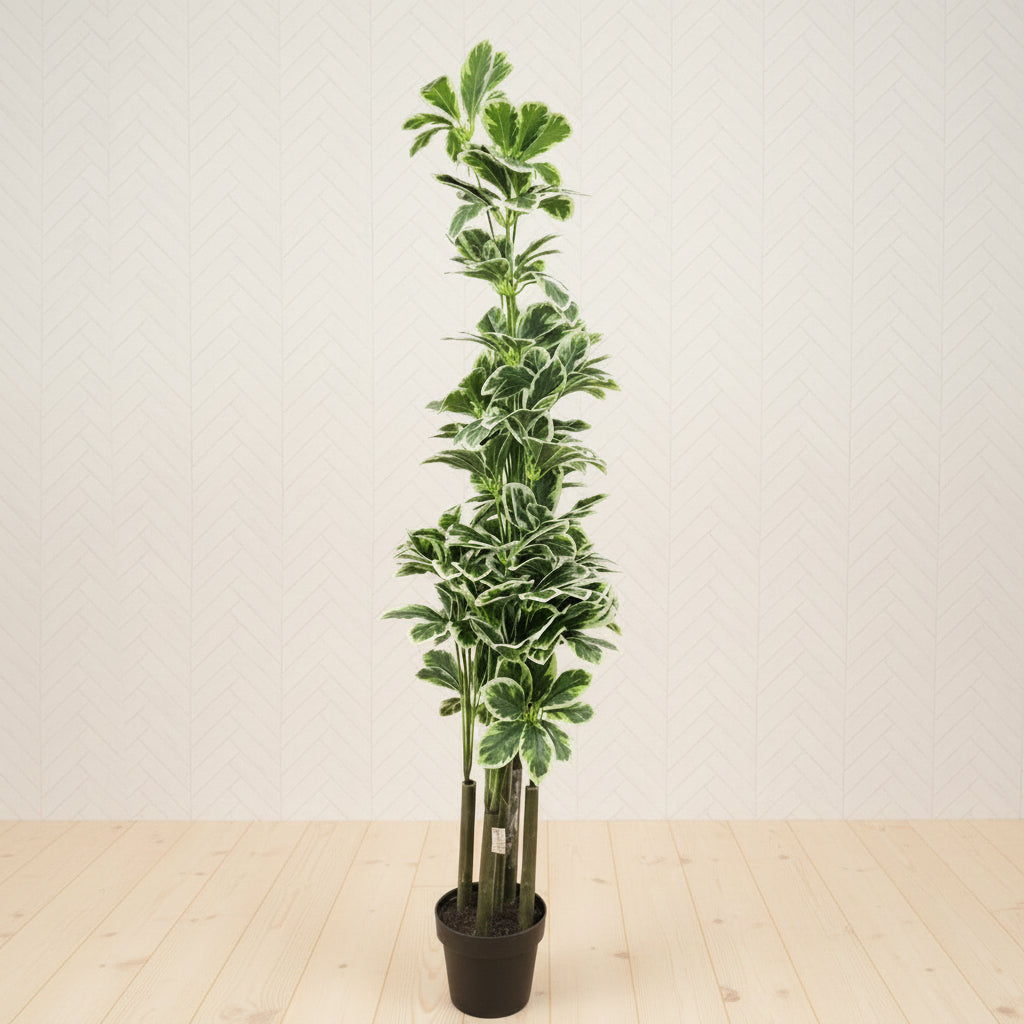 AM7463 MEDIUM Tall Artificial Variegated Umbrella Plant