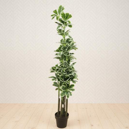 AM7463 MEDIUM Tall Artificial Variegated Umbrella Plant