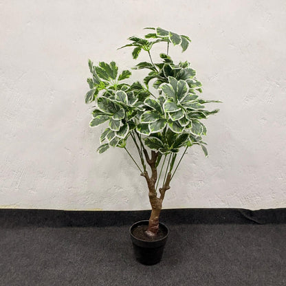 AM7464 SMALL Artificial Variegated Schefflera Umbrella Tree in Black Pot