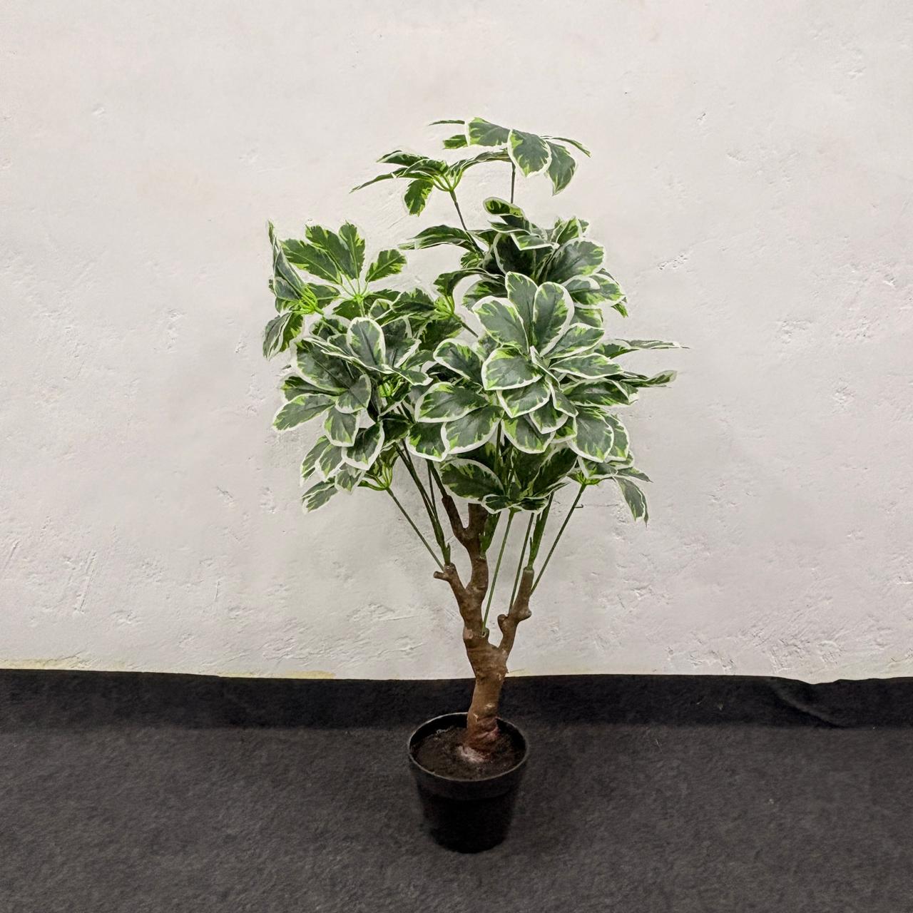 AM7464 SMALL Artificial Variegated Schefflera Umbrella Tree in Black Pot