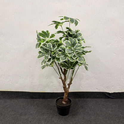 AM7464 SMALL Artificial Variegated Schefflera Umbrella Tree in Black Pot