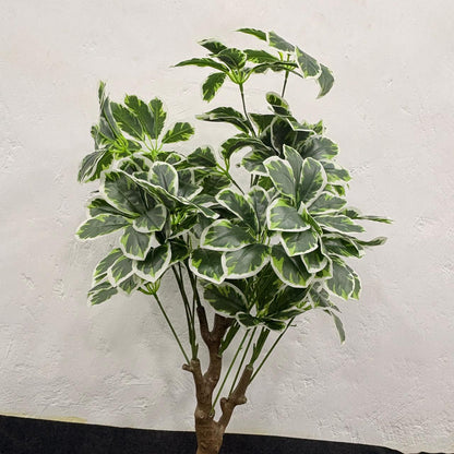 AM7464 SMALL Artificial Variegated Schefflera Umbrella Tree in Black Pot